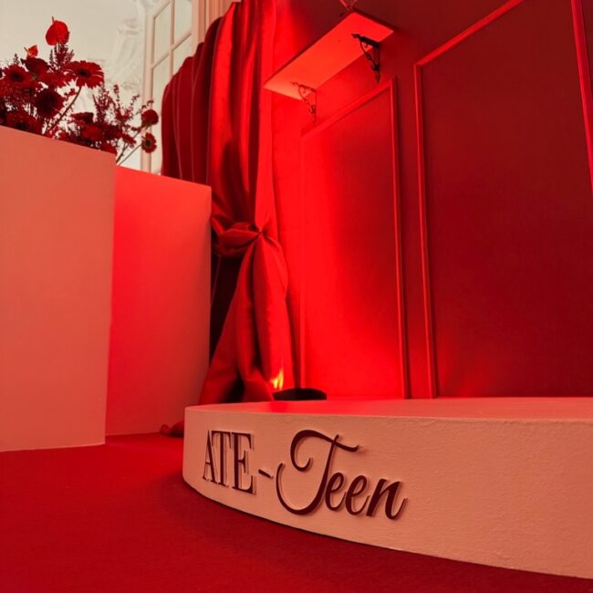 moulin rouge party13